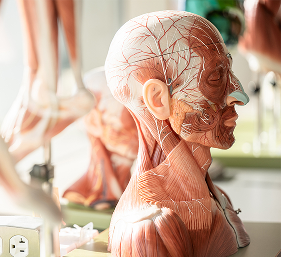 워싱턴 대학교 의과대학 - 곤자가 지역 보건 파트너십 학생 마라 하젤타인